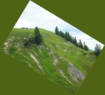 2014-07-05_Laengental-N-Hochweg (866)b. JPG